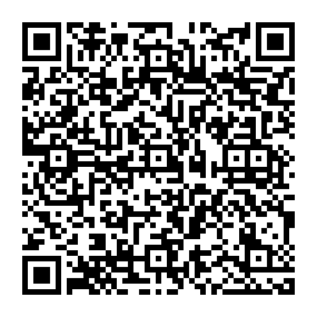 vCard 79232290001