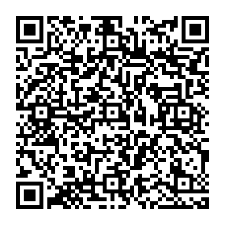 vCard 79232303371