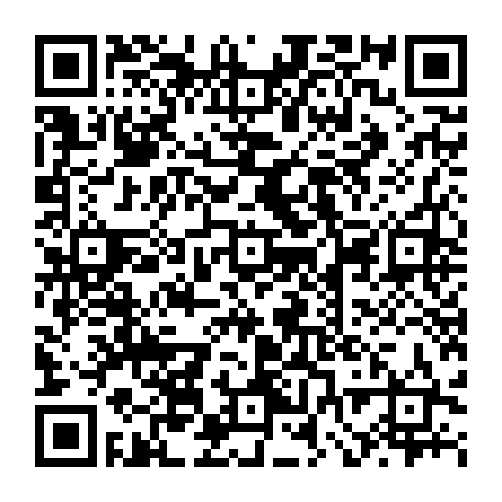 vCard 79232303711