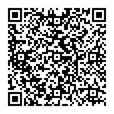 vCard 79232304347