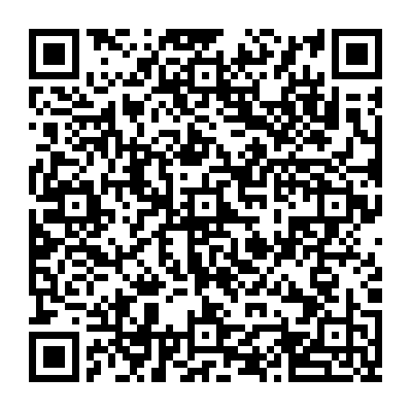 vCard 79232304773
