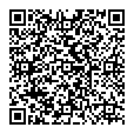 vCard 79232305358