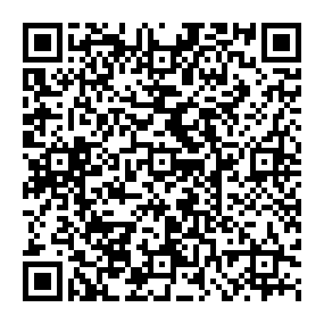 vCard 79232305411