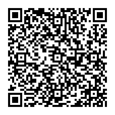 vCard 79232380004