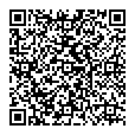 vCard 79232381079