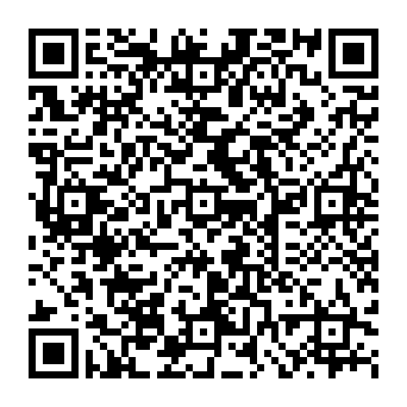 vCard 79232381133
