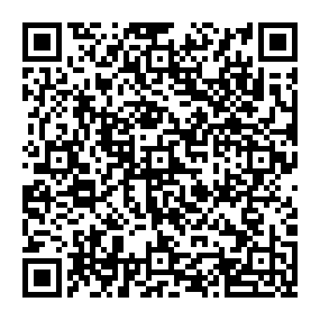 vCard 79232381333