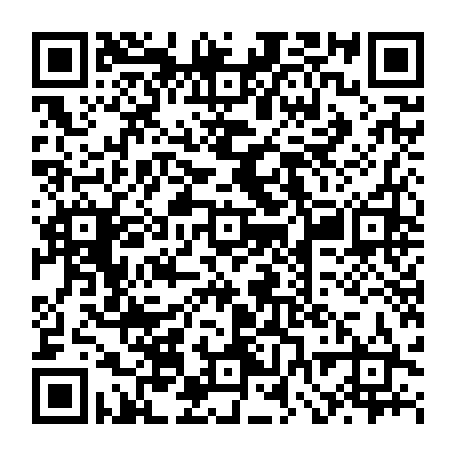 vCard 79232381334