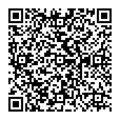 vCard 79232381388