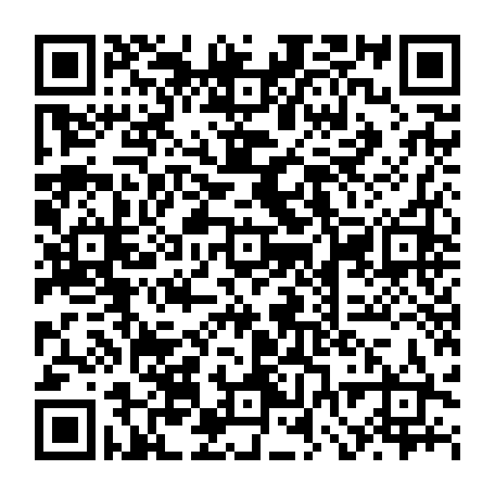 vCard 79232381568