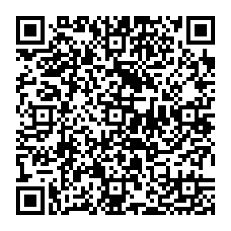 vCard 79232381697
