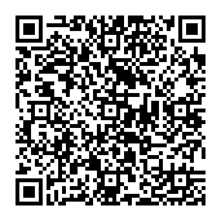 vCard 79232381729