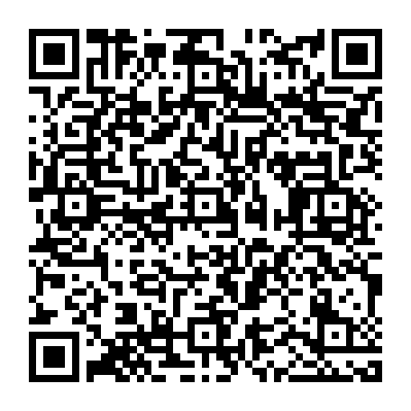 vCard 79232381779