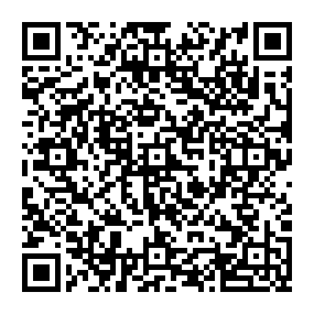 vCard 79232421874