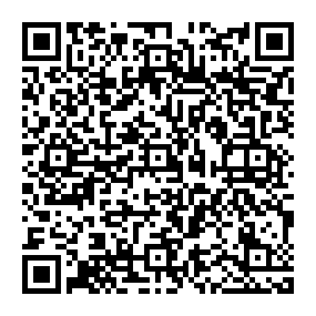 vCard 79232473217