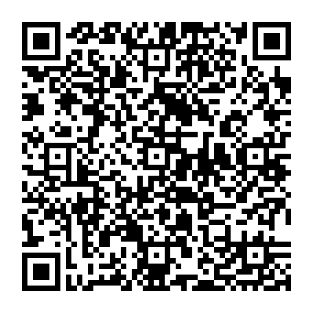 vCard 79232473237