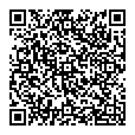 vCard 79232511738