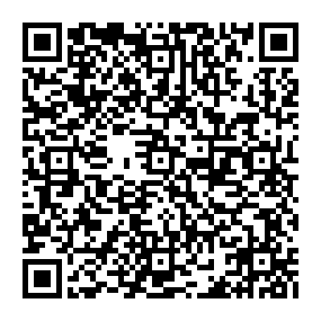 vCard 79232520037