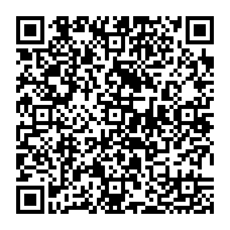 vCard 79232520038