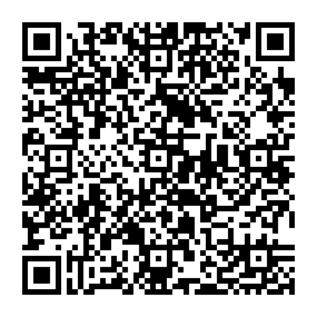 vCard 79232531333