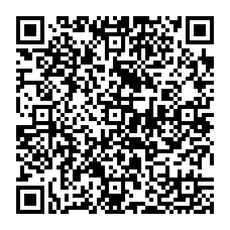 vCard 79232533017