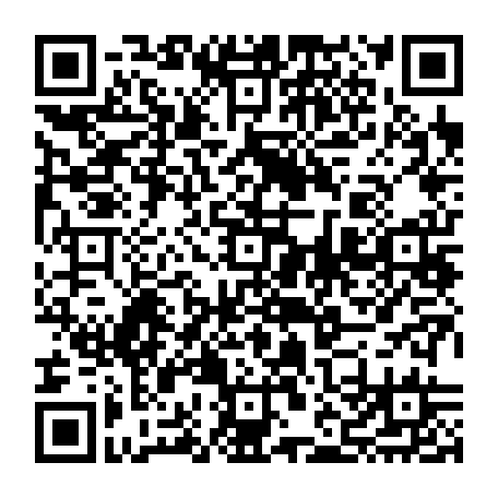 vCard 79232533037