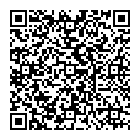 vCard 79232533084