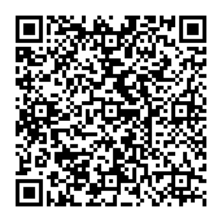 vCard 79232533087