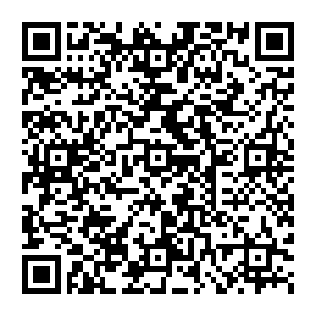 vCard 79232533137