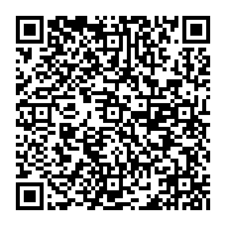vCard 79232533163
