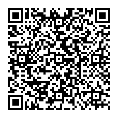 vCard 79232533217