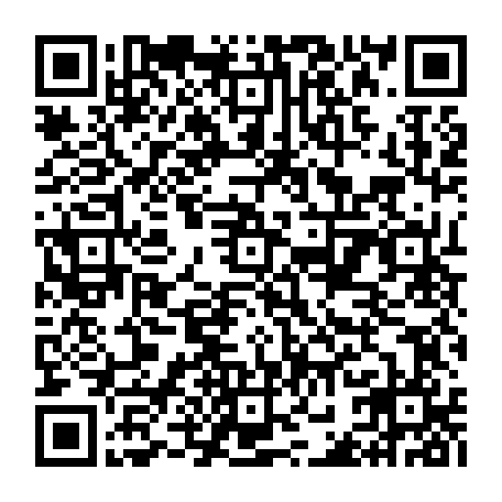 vCard 79232533219