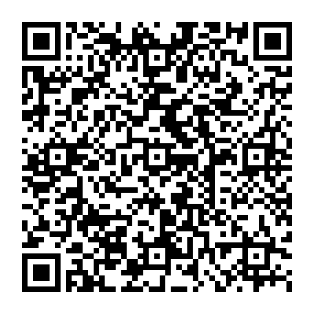 vCard 79232533239