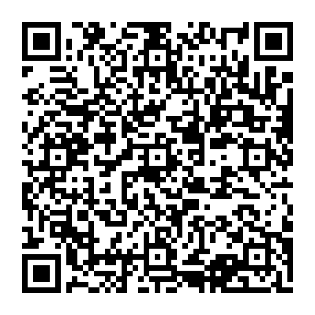 vCard 79232533241