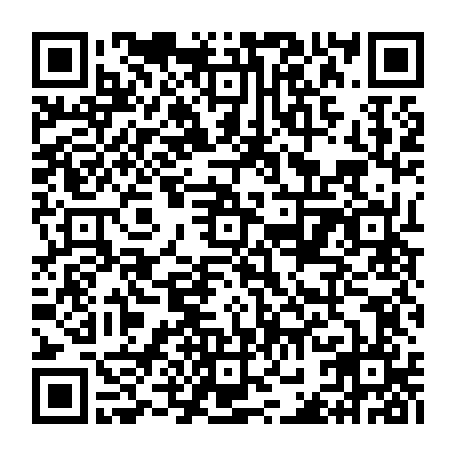 vCard 79232533275