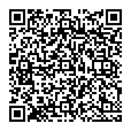 vCard 79232533278