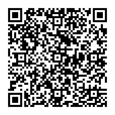 vCard 79232533285