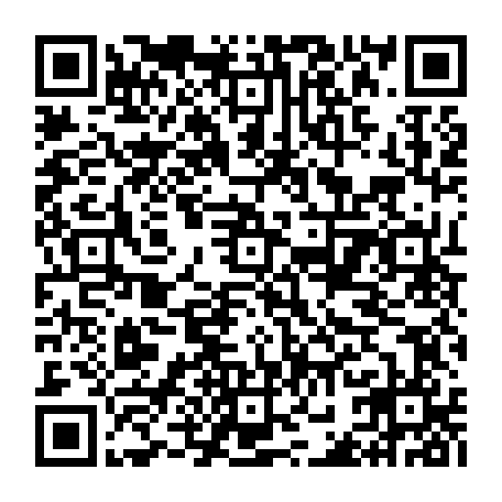 vCard 79232533289