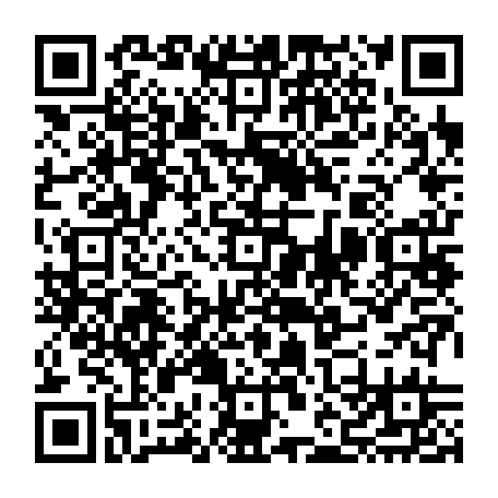 vCard 79232533294