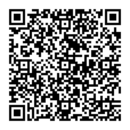vCard 79232533339