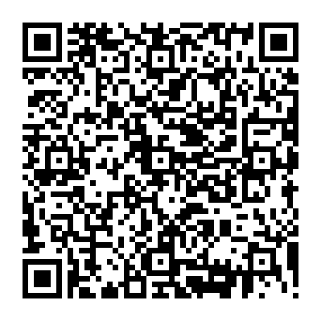 vCard 79232533370