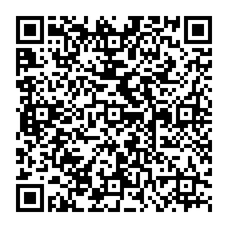 vCard 79232533376