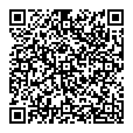vCard 79232533381