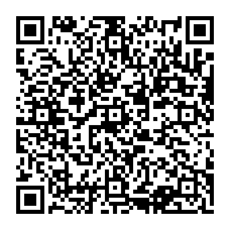 vCard 79232533387