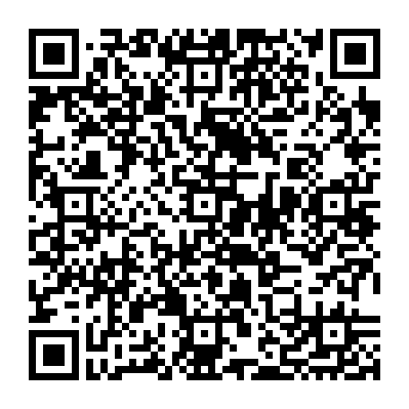 vCard 79232533528