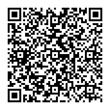 vCard 79232533613