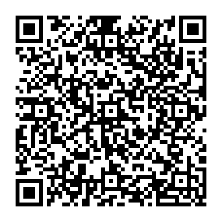 vCard 79232533629