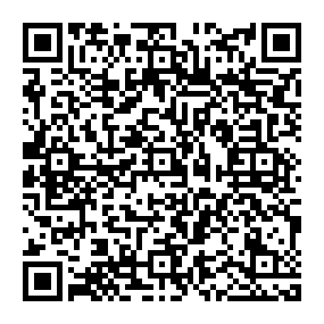 vCard 79232533631