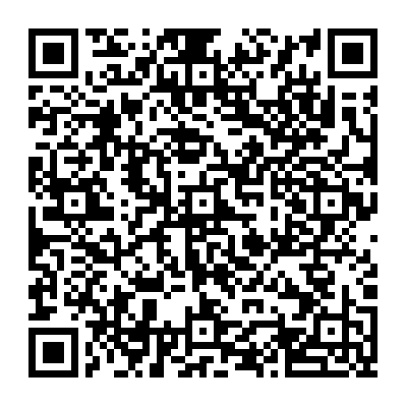 vCard 79232533634