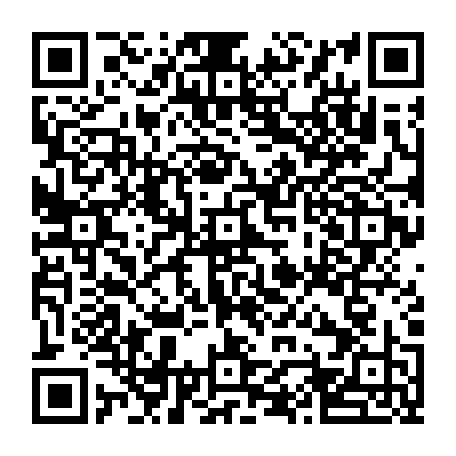 vCard 79232533637